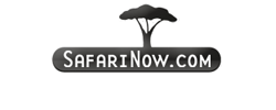 SafariNow Logo